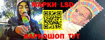 гашик Будённовск