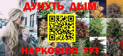 гашик Будённовск