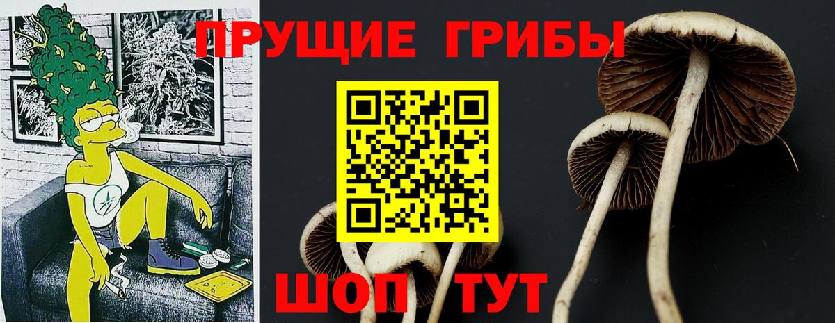 Галлюциногенные грибы Psilocybine cubensis  Вход с VPN  Лосино-Петровский 