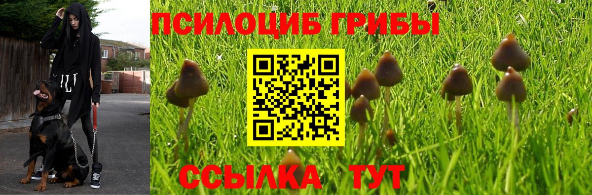 Псилоцибиновые грибы GOLDEN TEACHER Лосино-Петровский